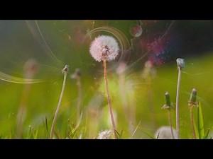 Equinox Meditation Music Spring Start September | Manifestation Grounding Set Intentions