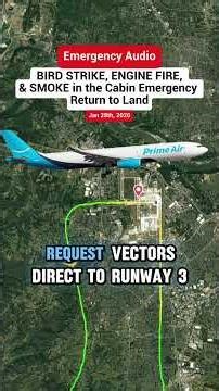 BIRD STRIKE, ENGINE Fire, & SMOKE in the Cabin | Emergency ATC