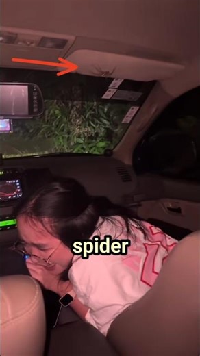 Spider fails to scare everyone #shorts