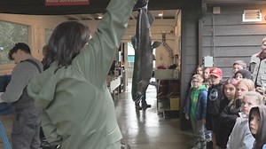 Students learn about salmon life cycle