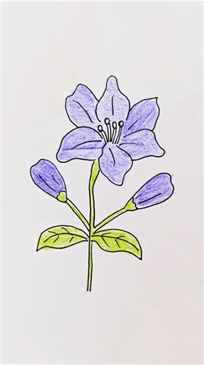 Easy Flower Sketch 🌺 | Satisfying Drawing #shorts