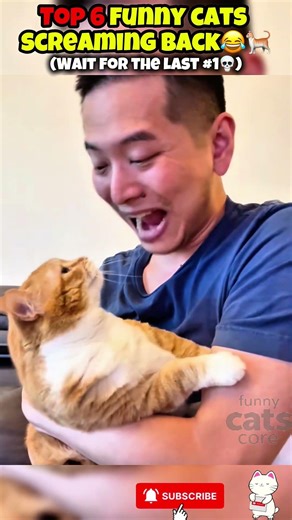 Top 6 funny cats screaming😂🐈 #shorts