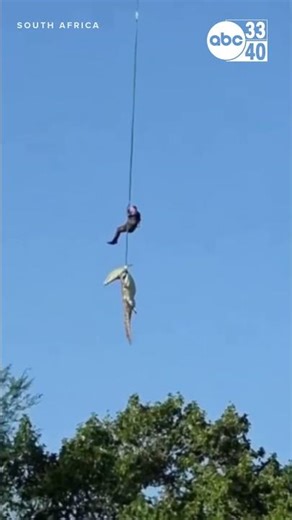 15-foot crocodile found with suspected remains of missing hotel owner after airlift