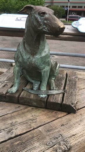 Patsy Ann: The Official Greeter of Juneau 🐶🚢