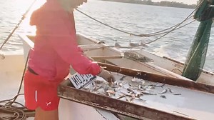 And just like that, we were done. I sure hope other boats are catching shrimp. #shrimpboats | TX Shrimp Diva