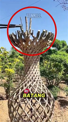 Keindahan Pohon Crape Myrtle yang Terlihat Seperti Karya Seni Alam 🌸 #shortsviral