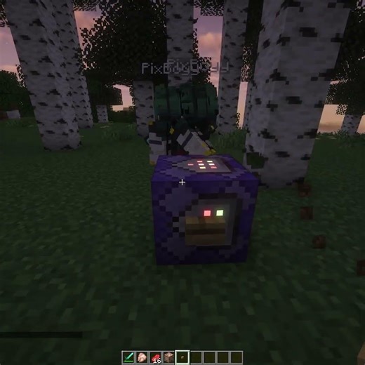 Minecraft Crazy commands 💀 #shorts