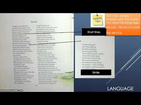 Elizabeth Bishop- The Fish analysis