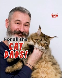 To all the Cat Dads in the world--Happy Father's Day!! Your furbabies are so thankful to have such a loving dad! | iHeartCats.com