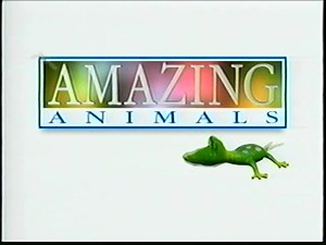 Henry's Amazing Animals: Monkeys and Apes (1997) VHS : Dorling Kindersley Vision : Free Download, Borrow, and Streaming : Internet Archive