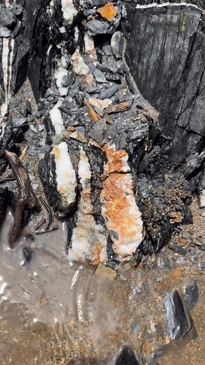 Gold mine : real gold mining | Amrin Prospecting