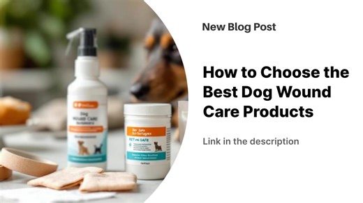 Dogs get injured unexpectedly and need immediate wound care to prevent infection and promote healing. Effective dog wound care requires three essential categories: antiseptic solutions (chlorhexidine or saline), protective bandages (non-adherent gauze and self-adhesive wraps), and healing treatments (medical-grade honey or silver sulfadiazine cream). Product selection depends on wound size, location, your dog's temperament, and the injury's severity. Every dog owner should maintain an emergency 