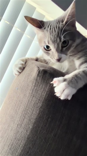 Navigating an Abusive Relationship: A Personal Story