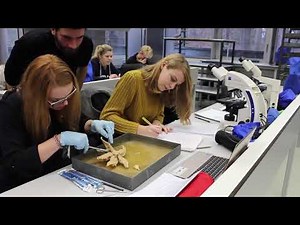 Biology - the Bachelor's degree program
