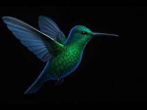 Amazing Hologram Technology | Realistic Insect World Exploration