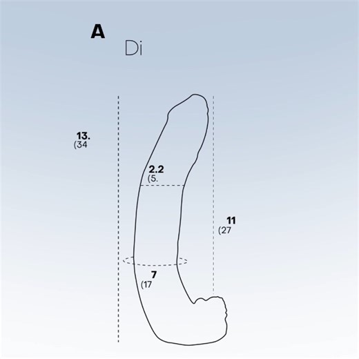 Watch Signature Cocks - Dredd 13 inch Realistic Dildo on Amazon Live