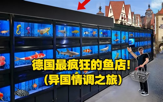 [中配]德国最疯狂的鱼店！(异国情调之旅) - George Mavrakis