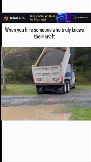 Innovate.oi on Instagram: "The post showcases a 44-second video of a dump truck driver expertly manoeuvring to fill a large, water-filled pothole with gravel on a rural road, captioned to celebrate skilled craftsmanship in everyday tasks. Uploaded on 15 February 2026 by @EpicClipVault , a account specialising in viral clips, it quickly amassed 973,000 views and 7,382 likes, reflecting public fascination with precise, satisfying manual labour. User replies split between admiration for the driver'