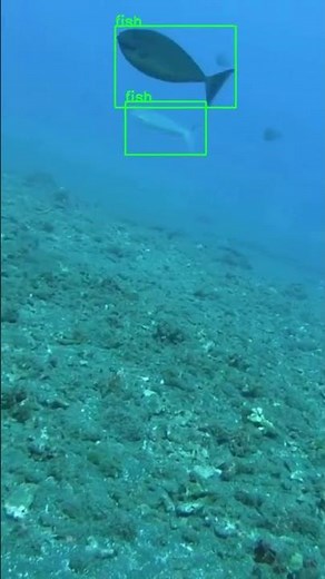 Object Detection | OpenCV | Python | YOLO