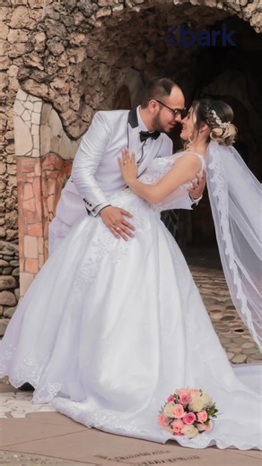 Looking for a wedding photographer? Find qualified professionals near you, fast & free. | Bark.com | Facebook