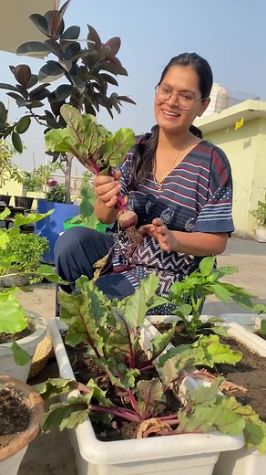 39K views · 760 reactions | Summer garden tips | Mud and Colors | Facebook