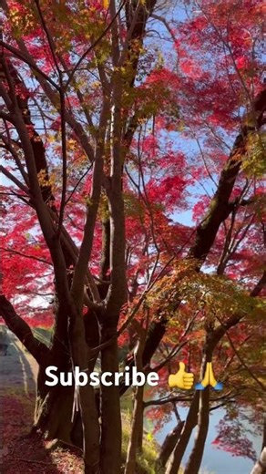 Quem se ama de verdade, não precisa provar nada a ninguém. Apenas a si mesmo !