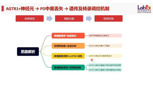 神经疾病研究技术流干货，从 0 到 1 发高分文章！