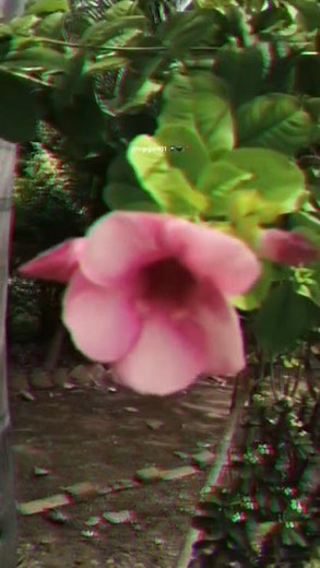 Apna clg 🎒✌️🏫 _______🎬📽