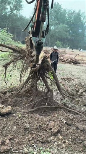 Amazing 😱 Most Satisfying 🥰 Excavator Stump Tree Removal 🌳🚜 | Ep 110 #shorts