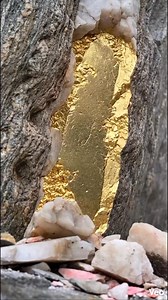 Quartz Cracked Open and Revealed a Giant Gold Wall Inside! 🪙😱 #goldmining #goldvein #quartz #goldrush #hidden gold #treasurehunt #oddlysatisfying #rockhunting #mininglife #viralreels | Fila Ollshops