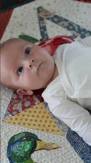 Arthurs Alphabet Quilt is officially here! 🍎