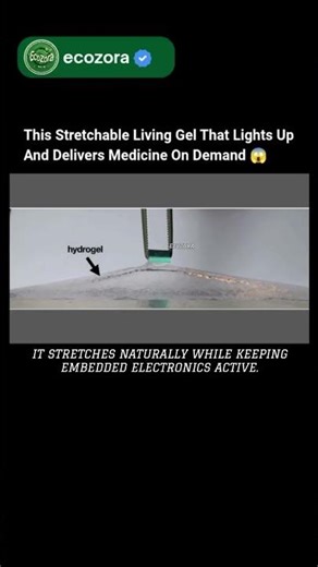 Smart Hydrogel Band-Aid That Senses And Heals Your Body #science #tech #research #health