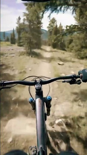 POV Downhill Mountain Biking – Ultra Realistic GoPro Ride