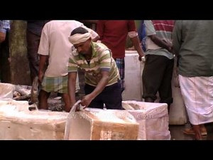 People buying fish at Howrah fish market