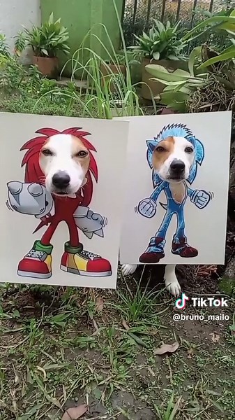 Bruno y Mailo: Los Mejores Momentos de Sonic la Película