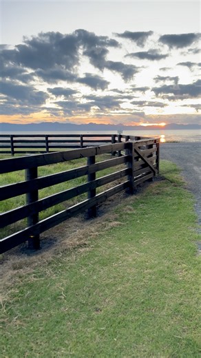 13 reactions · 5 comments | Fence painting trip from Cambridge to Miranda last week ☀️ such a beautiful spot ! 2 x coats of premium satin black linseed oil paint ✅ | CL Fence Painting Specialists | Facebook