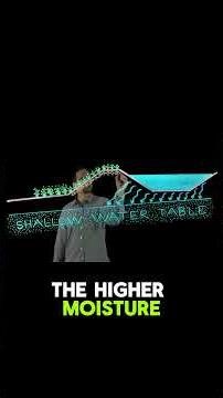 How Pasture Ponds and Rotational Grazing Create Regenerative Farming Miracle!
