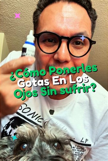 Consejos para Poner Gotas Oculares a tu Perrito