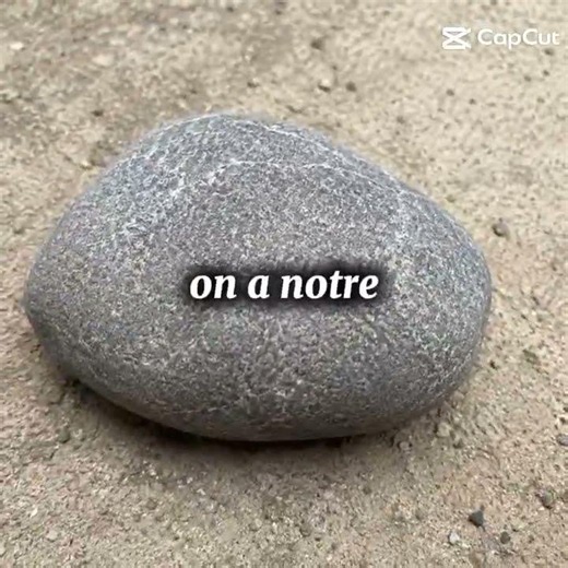 on a mieux que ça nous on a notre caillou 😈💩😮‍💨🤪😭😅🤣🤣🤣🤣
