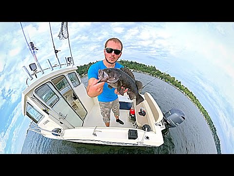 BOTTOM FISHING! Catch & Cook Fish n' Chips!!! (EASY RECIPE)