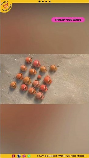 Cartoon Heroes Show Team Spirit 🚀 | Inspiring The Next Generation 💡