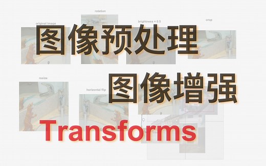 图像预处理 ｜ 图像增强 ｜ 重写 torchvision.transforms()