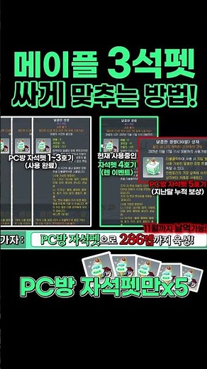 3석펫 싸게 맞추는 방법!(feat.챌린저스 월드/자석펫) [메이플/불독광부/KMS]