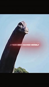 Mother dinosaur sacrificed herself to protect her young #dinosaur #animals #dinosaurs #usa🇺🇸 #usa | Pinchaskeene