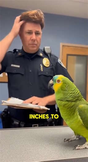 44K views · 1K reactions | Parrot Calls Out Cop's Crooked Toupee in...