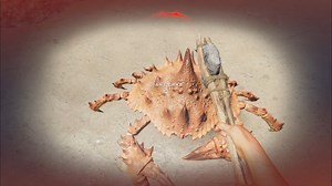 【Stranded Deep】地獄へようこそ part4【ゆっくり実況プレイ】