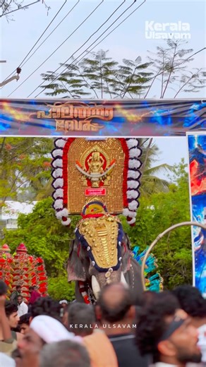 ഗുരുവായൂർ രാജശേഖരൻ 🔥Guruvayoor Rajasekaran Elephant #shorts