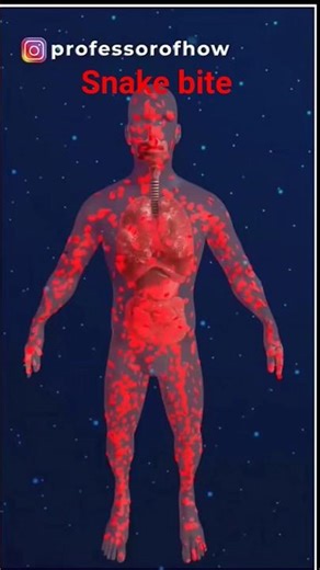 snake bites ke bad kya hota hai #shortvideo #viralvideo