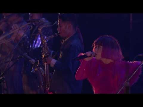 EGO-WRAPPIN' 『ROUTE 20 HIT THE BUDOKAN ～live at 日本武道館～』LIVE Blu-ray & DVD Trailer