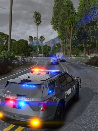 He tried to run in the garbage truck #pursuit #gta5rp #roleplay #lspdfr #gta5lspdfrmod